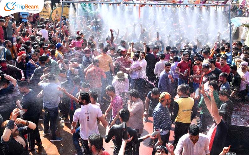 Dolchi Holi Bikaner