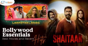 Bollywood Essentials Best Movies and Recent Hits