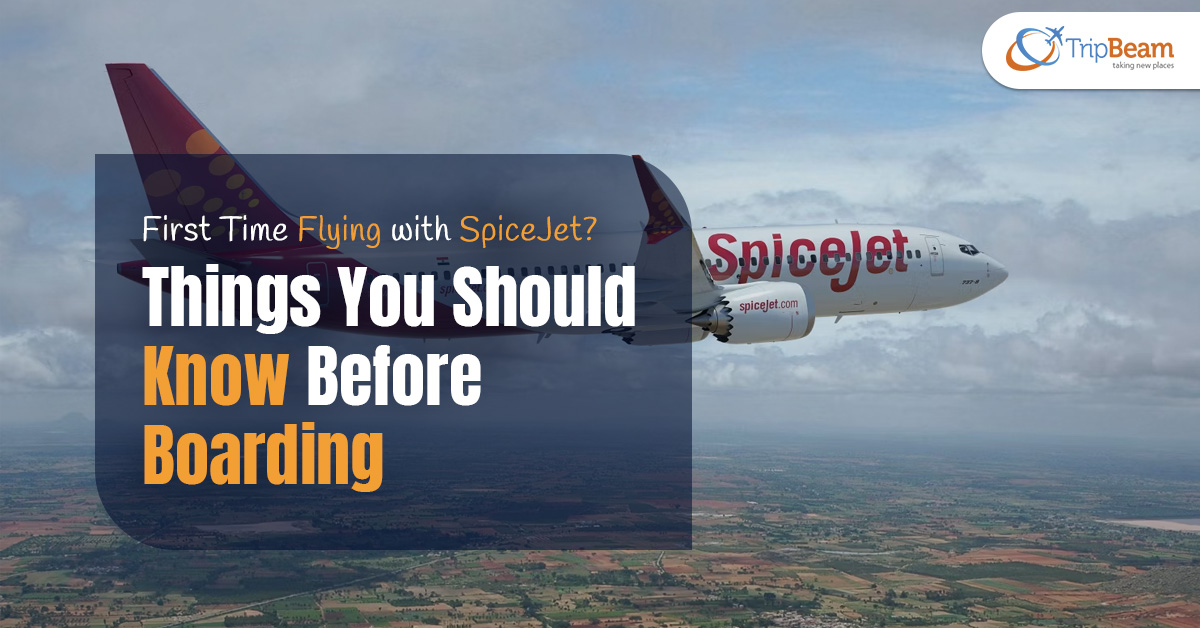 First Time Flying with SpiceJet Things You Should Know Before Boarding Tripbeam com