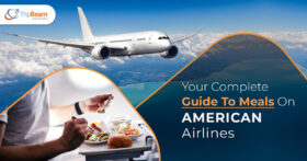 Your Complete Guide To Meals On American Airlines Tripbeam com