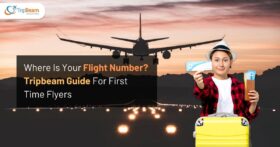 Where Is Your Flight Number Tripbeam Guide For First Time Flyers tripbeam com