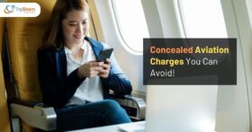 Concealed Aviation Charges You Can Avoid! (16 jan 2025) tripbeam com