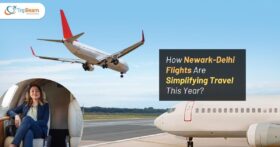 How Newark Delhi Flights Are Simplifying Travel This Year Tripbeam com