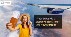 What Exactly Is a Dummy Flight Ticket and How to Use It Tripbeam com